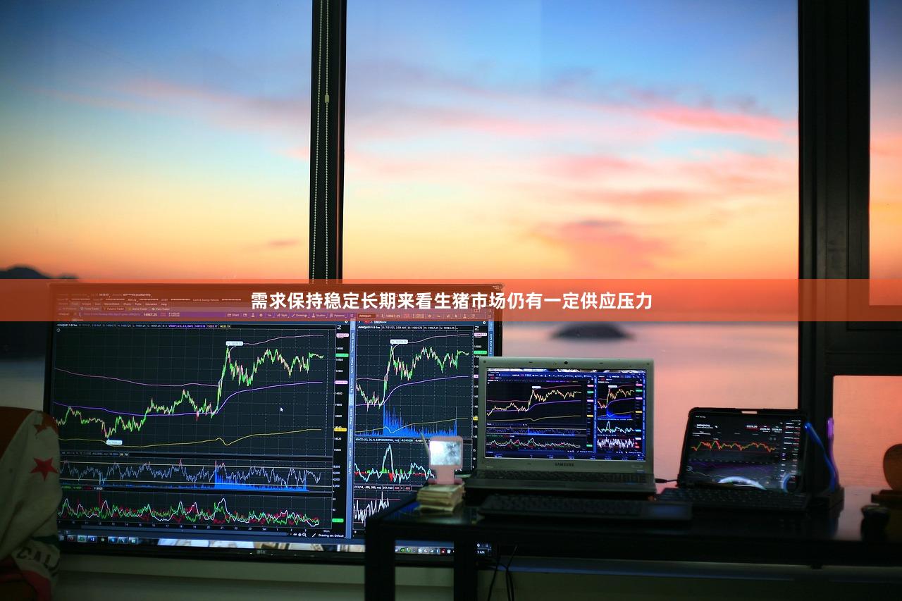 需求保持稳定长期来看生猪市场仍有一定供应压力