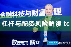 杠杆与配资风险解读 tc
