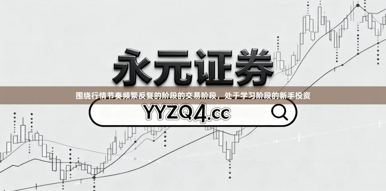 围绕行情节奏频繁反复的阶段的交易阶段，处于学习阶段的新手投资